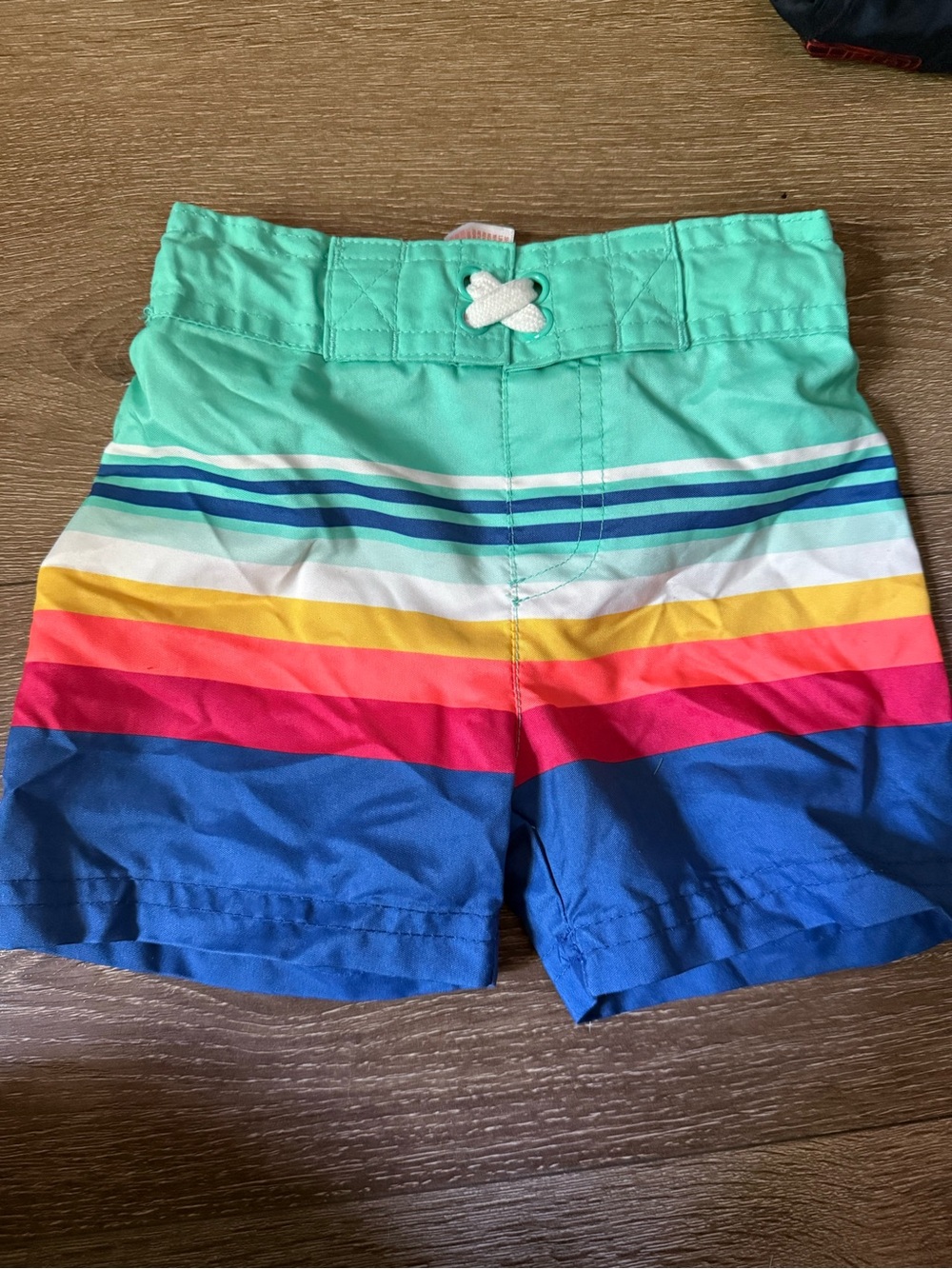 Cat & Jack Aqua and Rainbow Stripe Swim Trunks